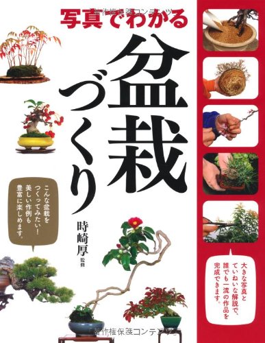 写真でわかる盆栽づくり |本 | 通販 | Amazon